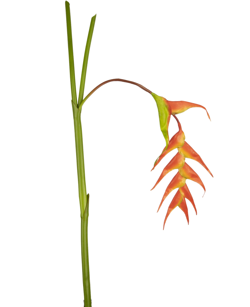 A single Artificial Flower Heliconia 120 cm red with striking red bracts and a green stem, isolated on a white background.