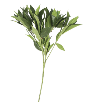 The Artificial Laurel Leaf 50 cm green has multiple stems with pointed leaves, beautifully detailed and artistic, presented in isolation on a plain white background.