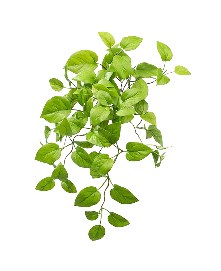 The Artificial Pothos Shrub Deluxe 60cm has vibrant green, oval leaves on trailing stems, resembling a pothos plant, elegantly displayed against a plain white background.