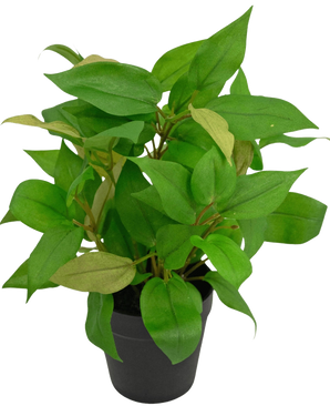 The Artificial Plant "House Wanderer" in a 25 cm pot has vibrant green leaves in a simple black pot, against a plain white background.