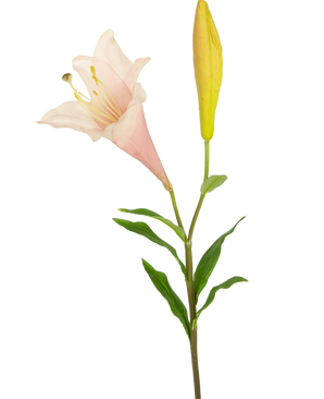 The Artificial flower exotic lily 74 cm pink has a single stem with a blooming light pink lily and a closed yellow bud, surrounded by slender green leaves, against a white background.