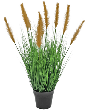 The Artificial Grass Plant Ostrich 80 cm fire retardant has long, slender green blades and high brown plumes in a black pot, against a white background - ideal for artificial plant lovers.