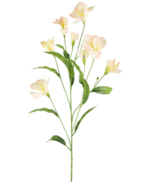 The Artificial Rhododendron Azalea Real Touch Cream/pink 80cm has a single green stem with branching, slender leaves and delicate cream-pink flowers, beautiful against a plain white background.