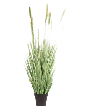 Artificial Grass Plant Green 160 cm fire retardant has long, slender blades and seed heads in a small black pot. Ideal as a stylish, fire-retardant fake plant for any room.