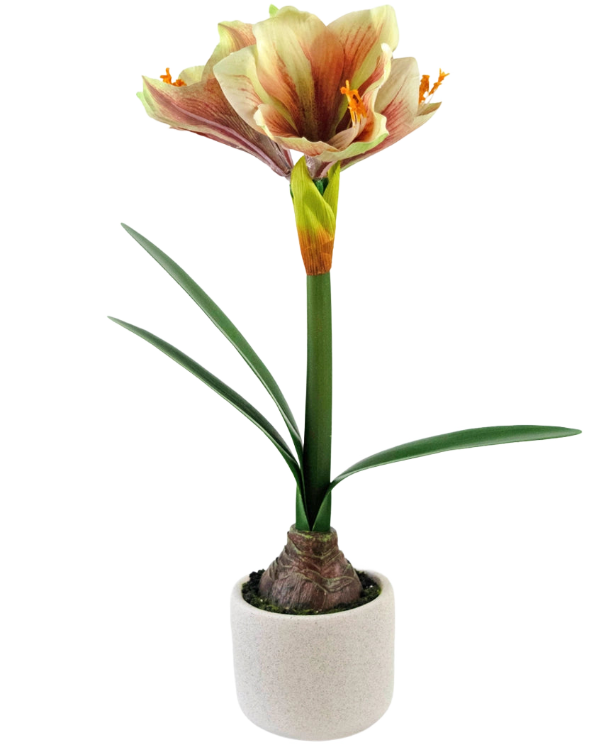 The Artificial Flower Amaryllis Real Touch Red/Yellow 48 cm has lifelike green leaves and a tall stem with trumpet-shaped red and yellow flowers, beautifully presented against a white background.
