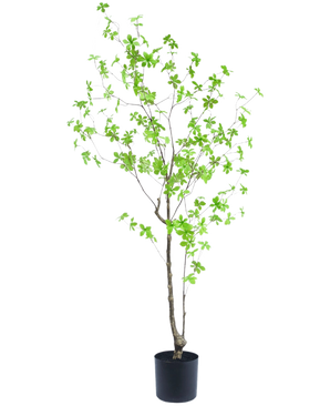 The Artificial Plant Enkianthus 150 cm is a tall pot plant with thin branches and small, bright green leaves against a plain white background.