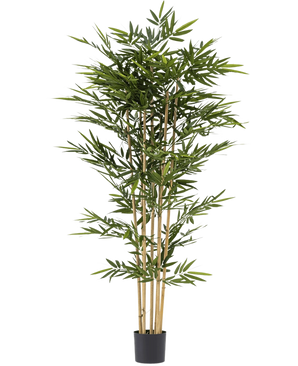 The Artificial Plant Bamboo 210 cm is a tall artificial bamboo with slender green leaves and several yellow stems, in a small black pot against a white background.