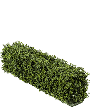 An Artificial Boxwood Hedge UV 100x20x25 cm rectangular hedge has dense green artificial boxwood leaves against a plain white background.
