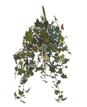 The Artificial Ivy Deluxe Green-white 60cm is a hanging artificial ivy plant with cascading green and white variegated leaves, against a plain white background.