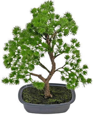 The Artificial Plant Bonsai Juniper 30 cm has dense bright green leaves and a twisted trunk, in a shallow gray pot with dark soil, against a plain white background.