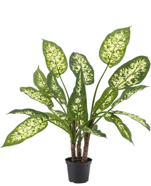 The Artificial Plant Dieffenbachia 40 cm, with lush green leaves and light yellow-white speckles, stands elegantly in stylish decorative pots against a plain white background.