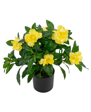 The Artificial Plant Gardenia UV 39 cm is a lush green artificial plant with large, vibrant yellow flowers and glossy leaves in a black pot, against a plain white background.