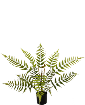 The Artificial Fern Plant 68 cm has long, feather-light green fern leaves and comes in a compact black pot, shown here against a plain white background.