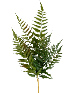 The Artificial Stitch Fern 56 cm has a single stem with multiple green fern fronds and finely divided, pointed leaflets, isolated on a white background.