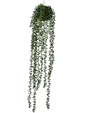 The Artificial hanging plant Senecio ball 71 cm has long, winding green tendrils that emerge from a round cluster at the top, perfect for adding greenery against a plain white background.