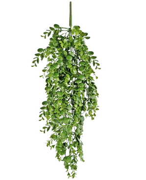 The Artificial hanging plant Pancake 61 cm has vibrant green artificial leaves that fall down against a plain white background and resembles a real hanging vine.
