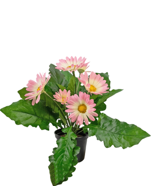 The Artificial Plant Gerbera UV 28 cm pink has a small black pot with vibrant artificial pink gerbera flowers and lush green leaves, against a plain white background.