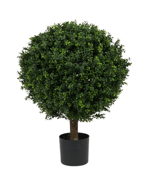 The Artificial Boxwood on stem Roman style UV 85cm is a round, leafy green artificial tree with dense foliage and a single trunk, in a simple black pot against a plain white background.