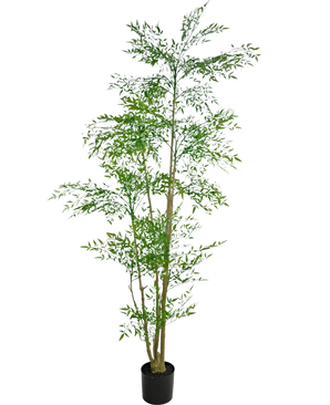 The Artificial Ruscus 210 cm is a tall artificial plant with slender green leaves and several thin, brown stems in a small black pot, against a plain white background.