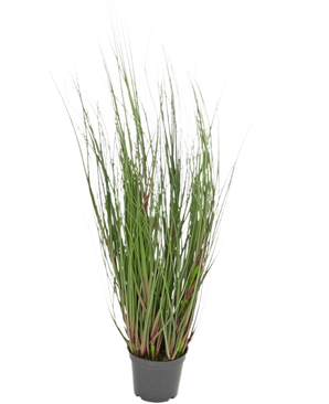 The Artificial Grass Plant Onion 60 cm fire retardant is an ornamental grass in a pot with long, thin green blades and some reddish stems, against a plain white background.