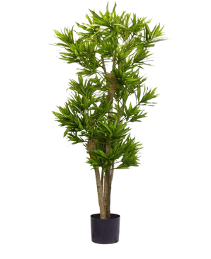 The Artificial Plant Dracena Reflexa 150 cm is a tall artificial plant with multiple thin trunks and bunches of long, slender green leaves in a small black pot, against a plain white background.