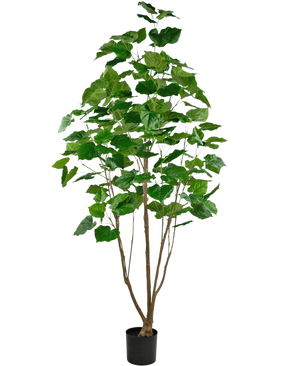 The Artificial Plant Ficus 210 cm is a tall houseplant in a pot with several slender brown stems and lush large green leaves, against a plain white background.