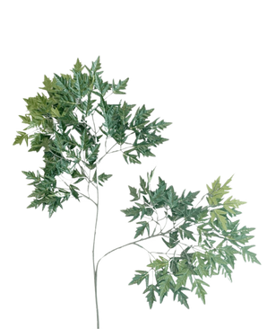 The Artificial Leaf Ming Aralia 50 cm green fire retardant is a tall, slender artificial plant with thin stems and bunches of green leaves with serrated edges against a plain white background.