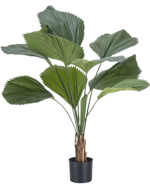 The Artificial Plant Lucuala Grandis 120 cm has large, fan-shaped green leaves and several stems in a simple black pot, against a plain white background.