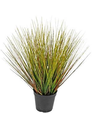 The Artificial Grass Plant Onion 50 cm fire retardant has high, thin, grass-like green and yellowish leaves with reddish brown hints, close together and fanning outwards in a black plastic pot.
