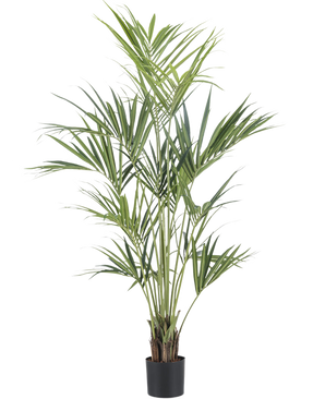 The Artificial Plant Kentia Palm 190 cm fire retardant has long, slender green leaves and several thin stems in a simple black pot, against a plain white background.