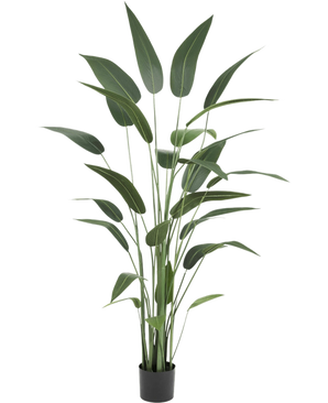 Artificial plant Heliconia 180 cm with long, slender green leaves in a black pot on a white background - a stylish choice for those who buy artificial plants or want to add realistic artificial plants to the interior.