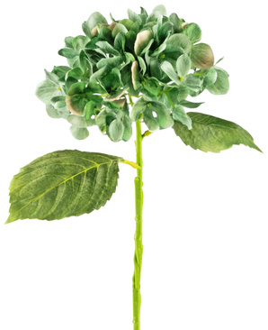 The Artificial Hydrangea Deluxe 33 cm dark green has a single long-stemmed green hydrangea with two large leaves and a full round cluster of petals, against a plain white background.