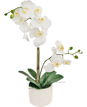 The Artificial Orchid Real Touch 60 cm white has delicate white flowers, green buds and wide green leaves, supported by a thin stake in a small white pot.