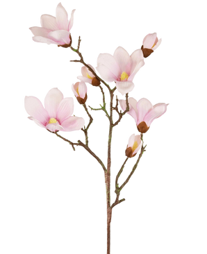 The Artificial Magnolia Branch Real Touch Pink 98cm has several light pink magnolia flowers and buds with soft petals, a yellow heart and brown stems, all against a white background.