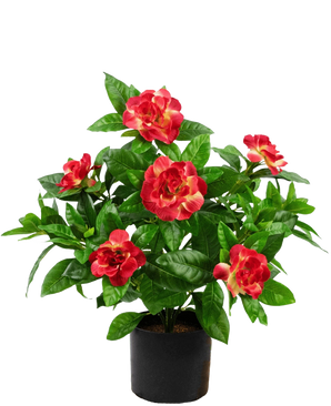 Artificial plant Gardenia 39 cm fuchsia