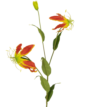 The Artificial Flower Gloriosa 81 cm red/yellow has two open red and yellow gloriosa lily flowers, a closed bud and a number of long green leaves, all against a plain white background.