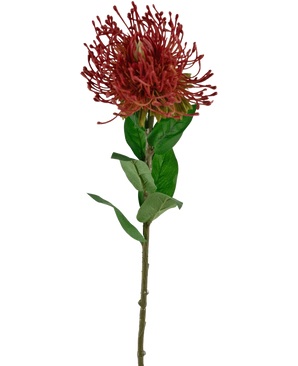 The Artificial Flower Protea 73 cm red has a single red pincushion protea with spiky petals and green leaves on a long, thin stem, against a white background.