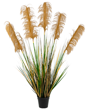 The Artificial Pampas Grass 120 cm fire retardant has high green and yellow grass-like leaves with fluffy brown plumes. This elegant, fire-retardant artificial plant adds sophistication to any collection of fake plants against a white background.