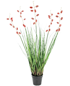 A fire retardant Artificial Grass Plant Centipede Grass of 100 cm with long, thin green leaves and tall stems with pink-red plumes, presented against a white background.