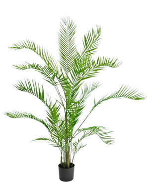 The Artificial Plant Chamaedorea 150 cm is a tall palm in a pot with long, arching green leaves and slender stems, against a plain white background.