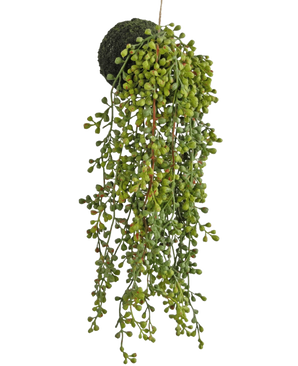 The Artificial hanging plant succulent on a 40 cm bulb has green bead-like leaves and a moss-covered base, suspended on a string against a white background.