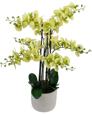 The Artificial Orchid Real Touch 81 cm green has light green orchid flowers with dark green leaves in a light gray pot, against a white background.