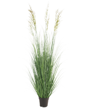 The Artificial Grass Plant Wheat 180 cm fire retardant has long, slender green blades and three spike-shaped seed heads in a small black pot - ideal for a luxury garden, completely maintenance-free and fire retardant. Displayed against a plain white background.