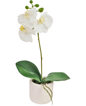 The Artificial Orchid Real Touch 30 cm white has lifelike white orchid flowers and green leaves in a small white pot, perfect to add elegance to any room.