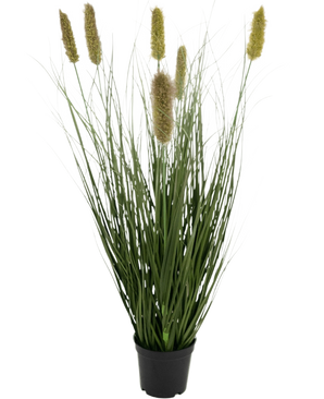 The Artificial Grass Matsutake onion grass pot 61cm fire retardant has long, thin, green grass-like leaves and yellowish fluffy cylindrical plumes in a black pot, which resemble artificial grass against a white background.
