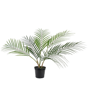 The Artificial Palm Chamaedorea 48 cm has long, slender green leaves that spread outwards and comes in a simple black plastic pot against a plain white background.