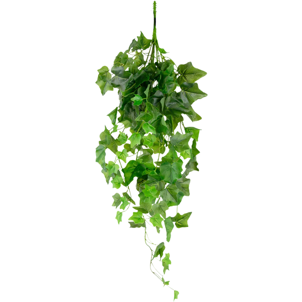 Artificial Ivy