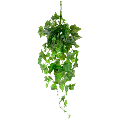Artificial Ivy