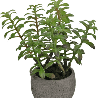 Artificial Succulent Plant