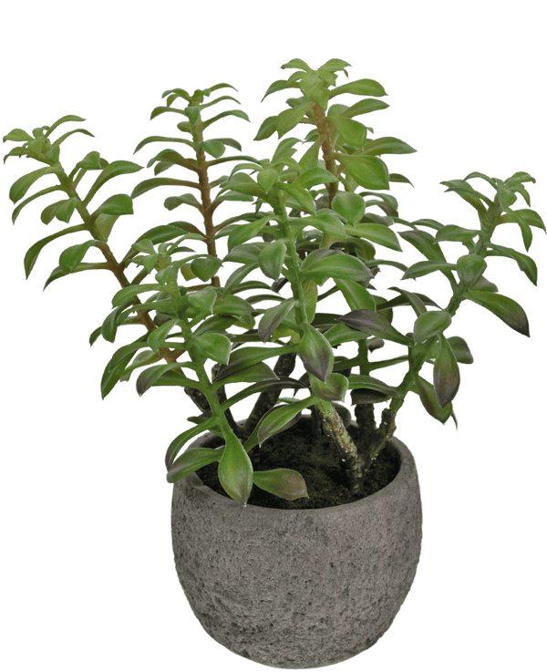 Artificial Succulent Plant